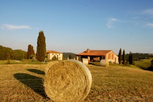 Tuscan holiday villa rent ownersdirect