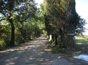 the street of pignano