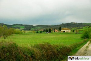 Rent Tuscany villa on tripadvisor