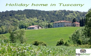 Rent Holidat apartments in Tuscany Volterra