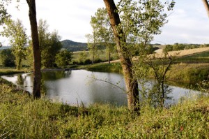 pond near the tuscan villa