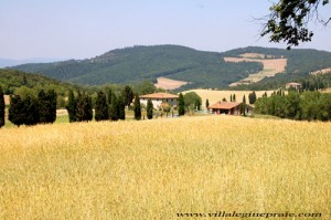 tuscan villa in summer