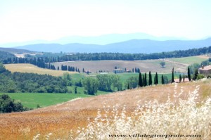 Farmer in Tuscany in summer