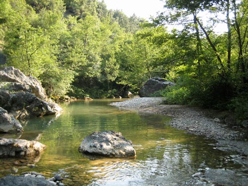 in the cecina river you can swim