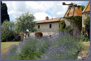 villa in tuscany with lavander plants